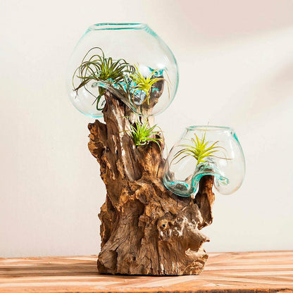 Hand Crafted Double Glass Planter on Driftwood | Plow & Hearth