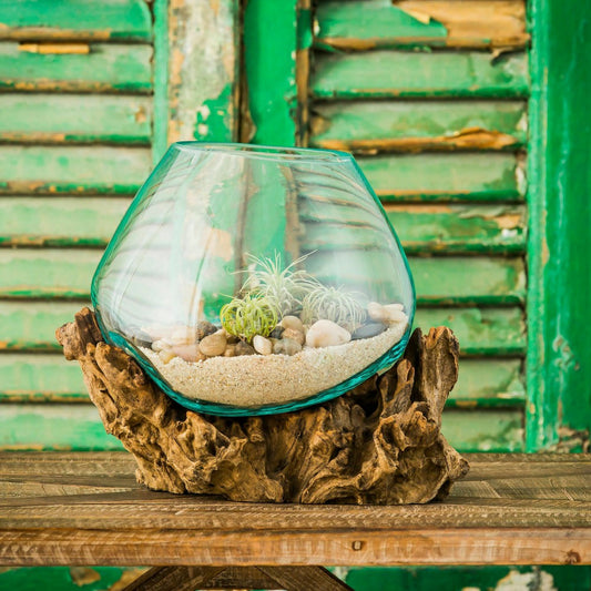 VivaStyle Medium Glass Planter on Driftwood | Plow & Hearth