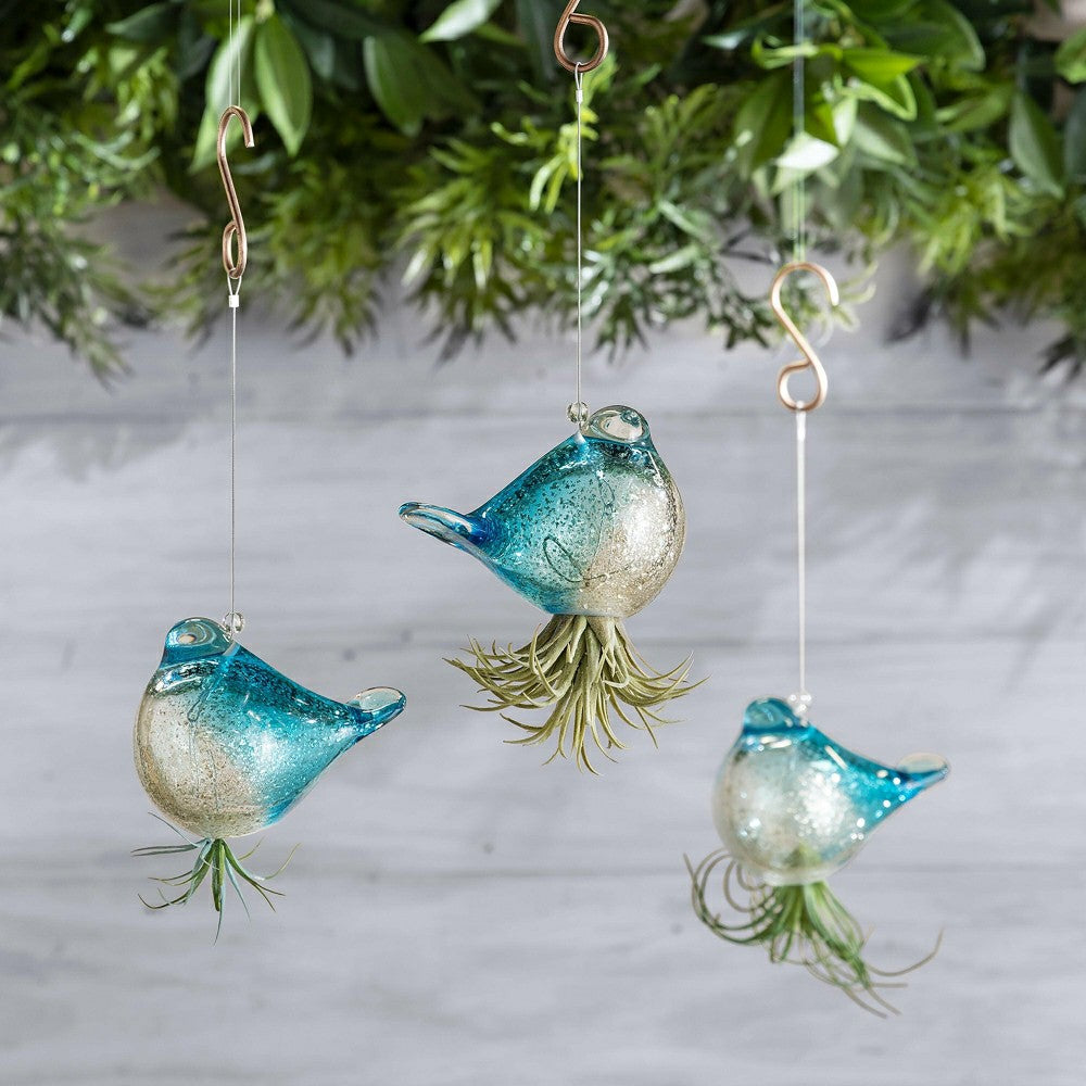 Hanging Bird Glass Airplant Holders, Set of 3 | Plow & Hearth