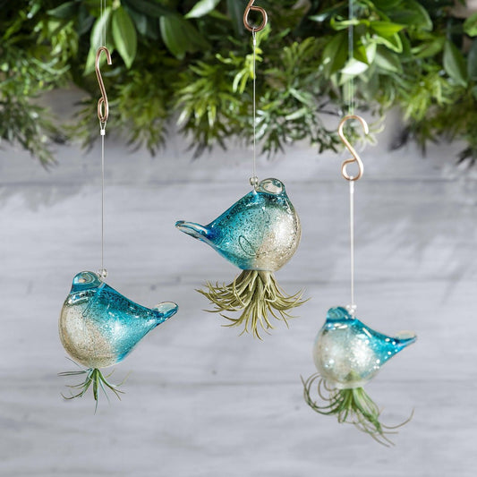 Hanging Bird Glass Airplant Holders, Set of 3 | Plow & Hearth
