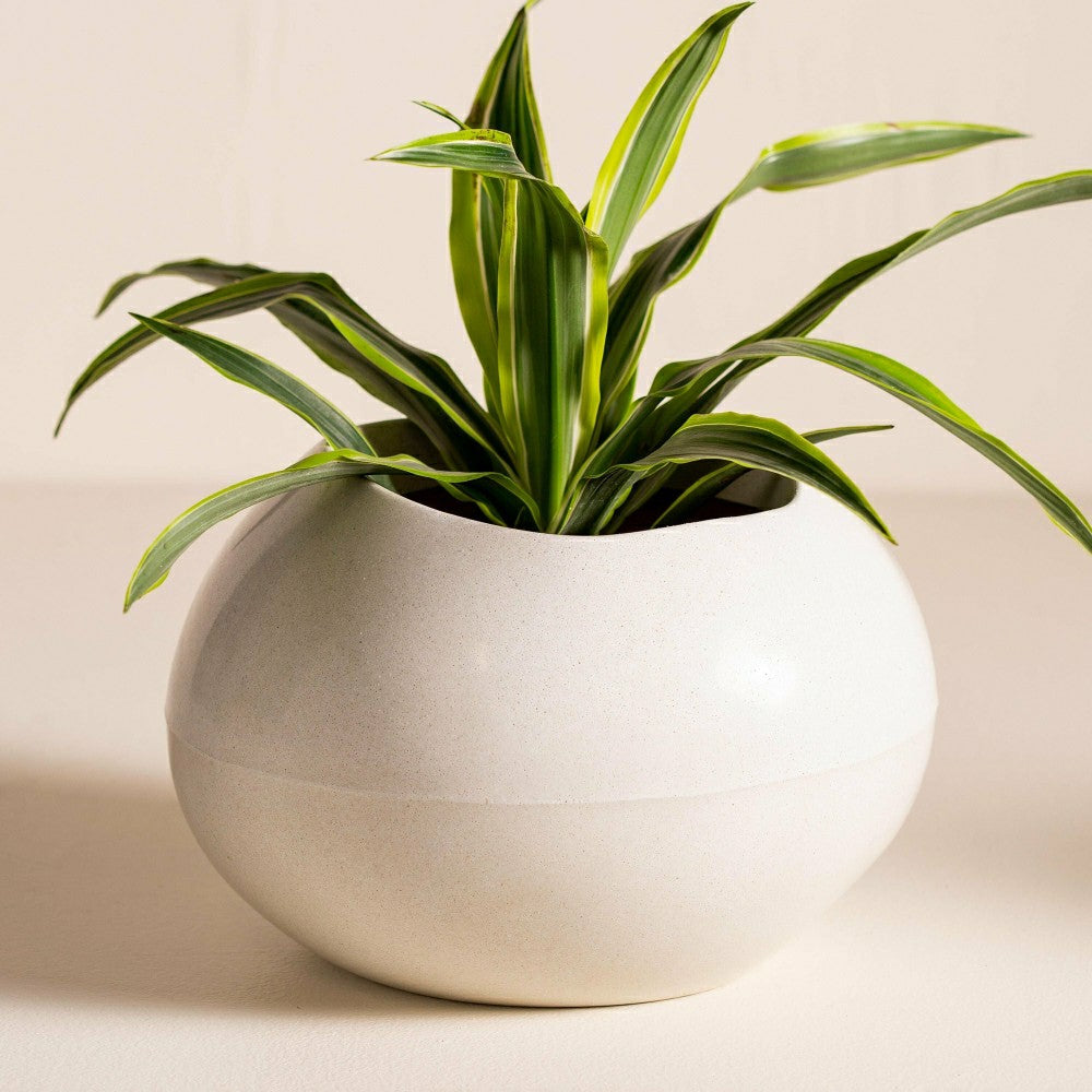 Globe Stone Planter | Plow & Hearth