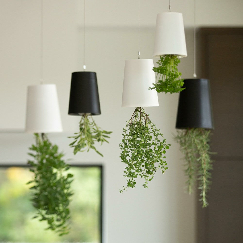 MEDIUM SKY PLANTER | Plow & Hearth