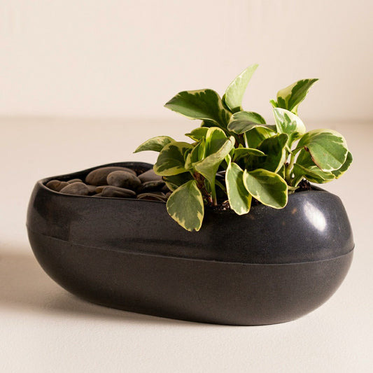 Roll Stone Planter | Plow & Hearth
