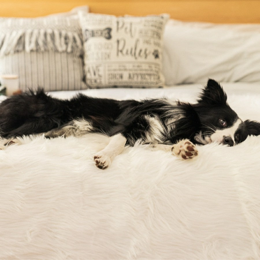 PupProtector™ Waterproof Throw Blanket - Polar White | Plow & Hearth