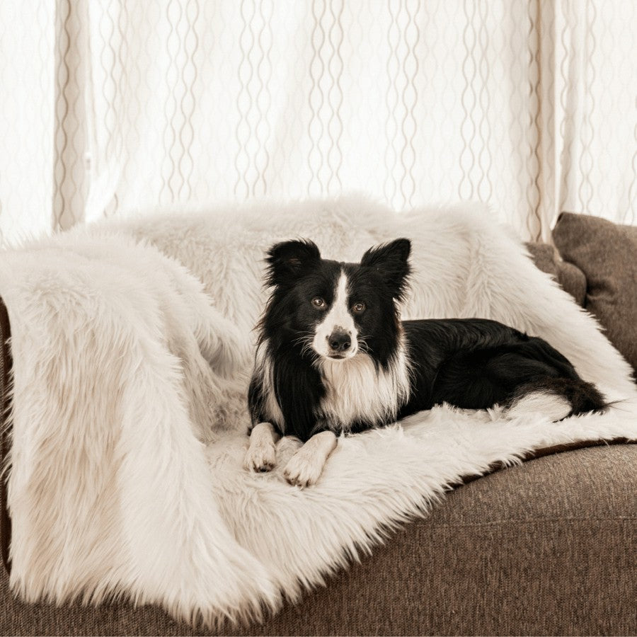 PupProtector™ Waterproof Throw Blanket - Polar White | Plow & Hearth