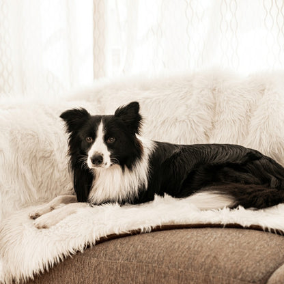 PupProtector™ Waterproof Throw Blanket - Polar White | Plow & Hearth
