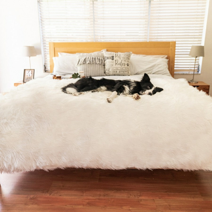 PupProtector™ Waterproof Throw Blanket - Polar White | Plow & Hearth