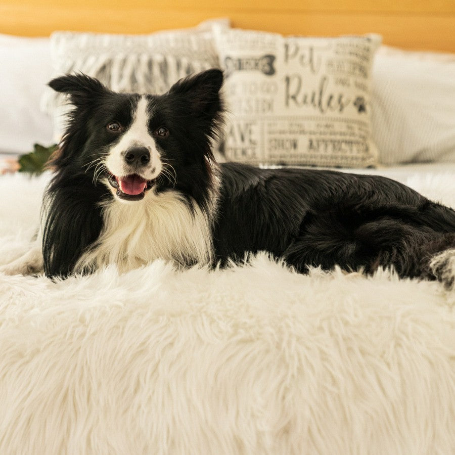 PupProtector™ Waterproof Throw Blanket - Polar White | Plow & Hearth