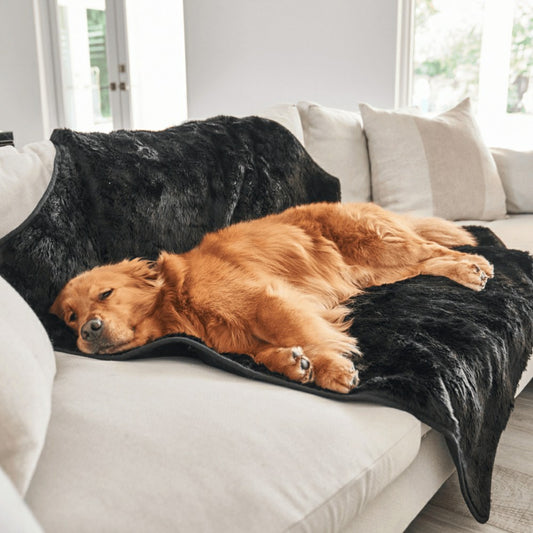 PupProtector™ Short Fur Waterproof Throw Blanket - Midnight Black | Plow & Hearth