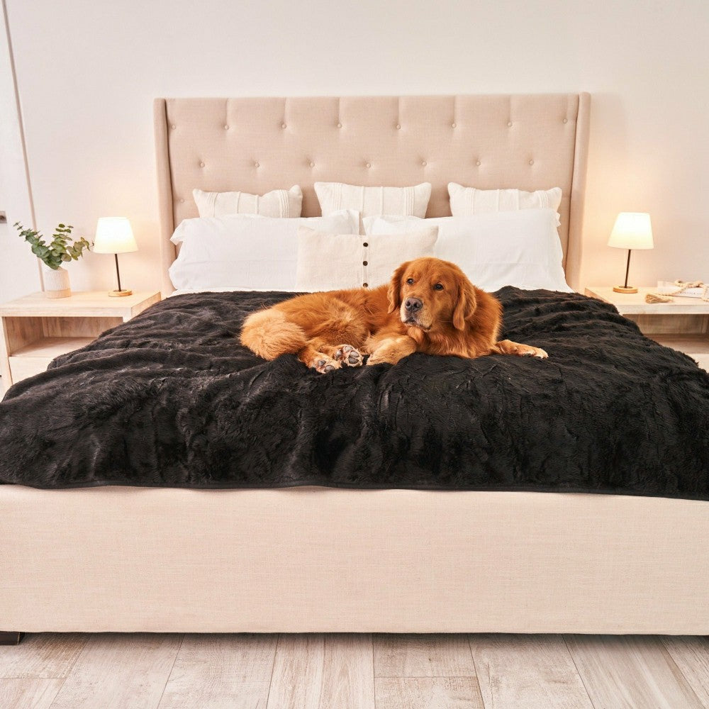 PupProtector™ Short Fur Waterproof Throw Blanket - Midnight Black | Plow & Hearth