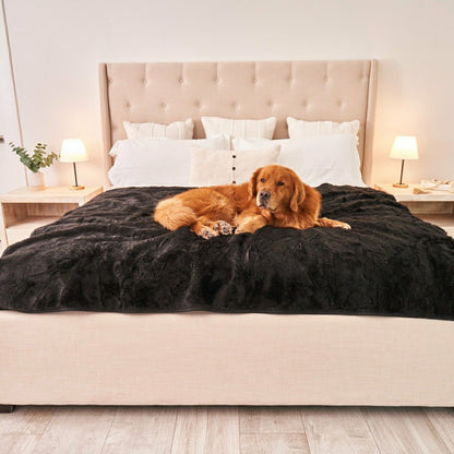 PupProtector™ Short Fur Waterproof Throw Blanket - Midnight Black | Plow & Hearth