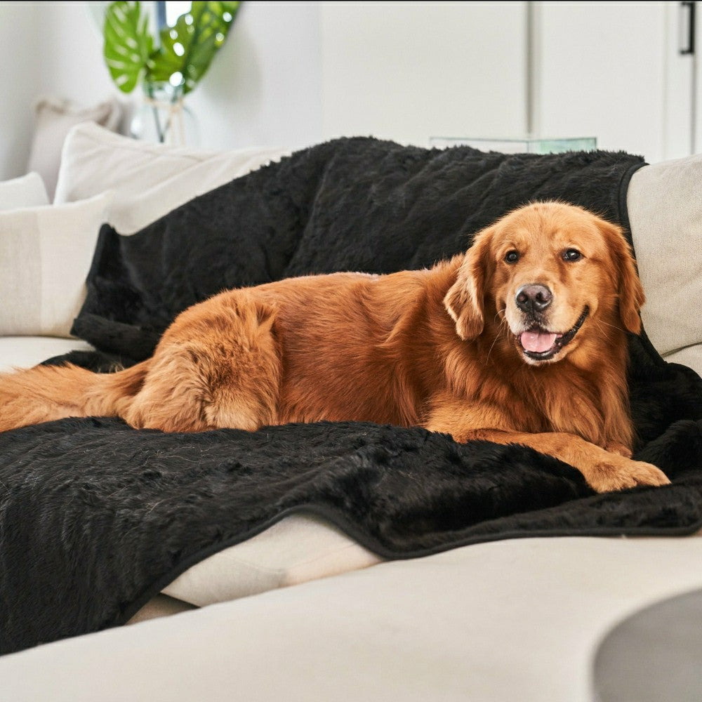 PupProtector™ Short Fur Waterproof Throw Blanket - Midnight Black | Plow & Hearth
