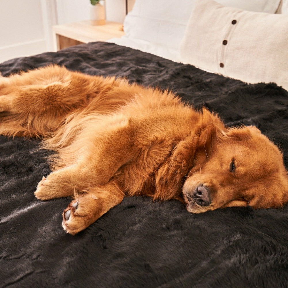 PupProtector™ Short Fur Waterproof Throw Blanket - Midnight Black | Plow & Hearth