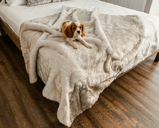 PupProtector™ Short Fur Waterproof Throw Blanket - White with Brown Ac | Plow & Hearth