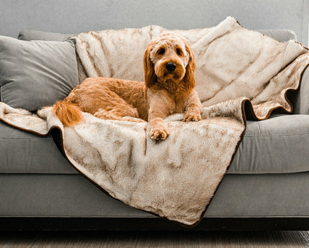 PupProtector™ Short Fur Waterproof Throw Blanket - White with Brown Ac | Plow & Hearth