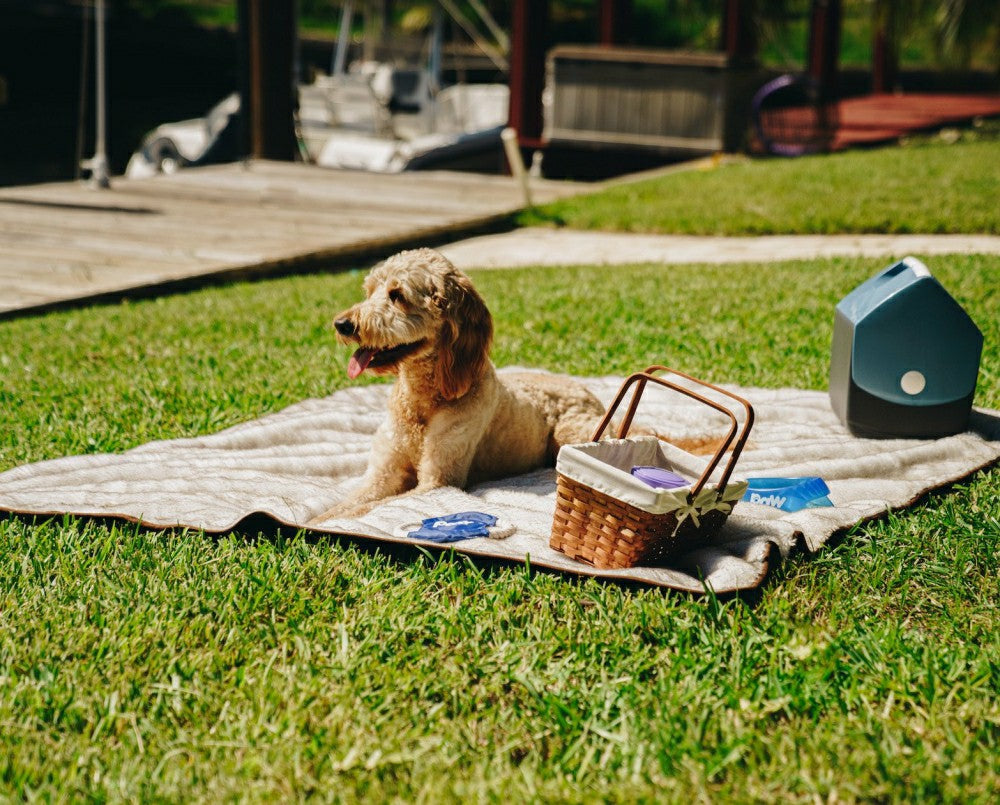 PupProtector™ Short Fur Waterproof Throw Blanket - White with Brown Ac | Plow & Hearth