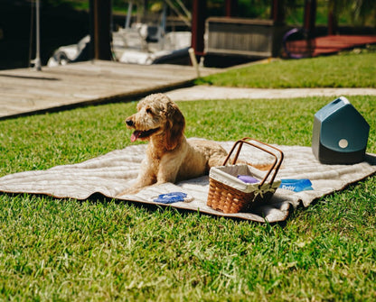 PupProtector™ Short Fur Waterproof Throw Blanket - White with Brown Ac | Plow & Hearth