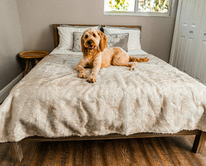 PupProtector™ Short Fur Waterproof Throw Blanket - White with Brown Ac | Plow & Hearth
