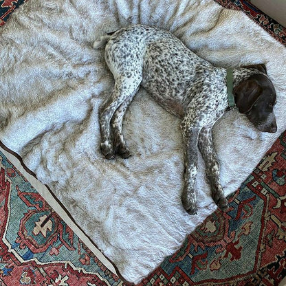 PupProtector™ Short Fur Waterproof Throw Blanket - White with Brown Ac | Plow & Hearth