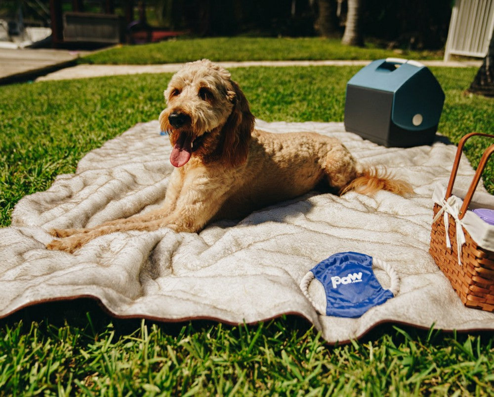 PupProtector™ Short Fur Waterproof Throw Blanket - White with Brown Ac | Plow & Hearth
