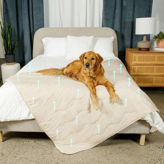 PupChill™ Cooling Waterproof Blanket - Arctic Sand | Plow & Hearth