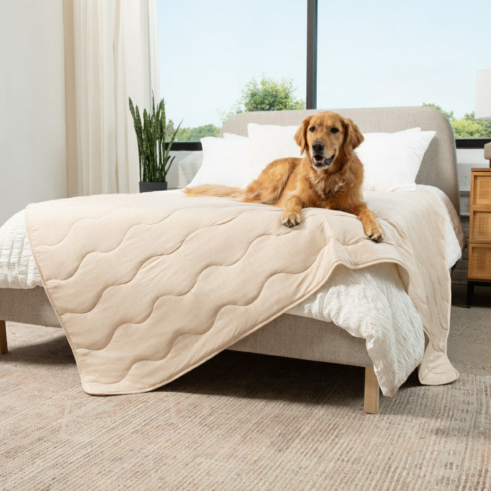 PupChill™ Cooling Waterproof Blanket - Arctic Sand | Plow & Hearth