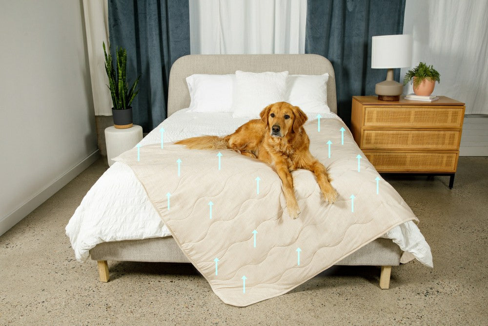 PupChill™ Cooling Waterproof Blanket - Arctic Sand | Plow & Hearth