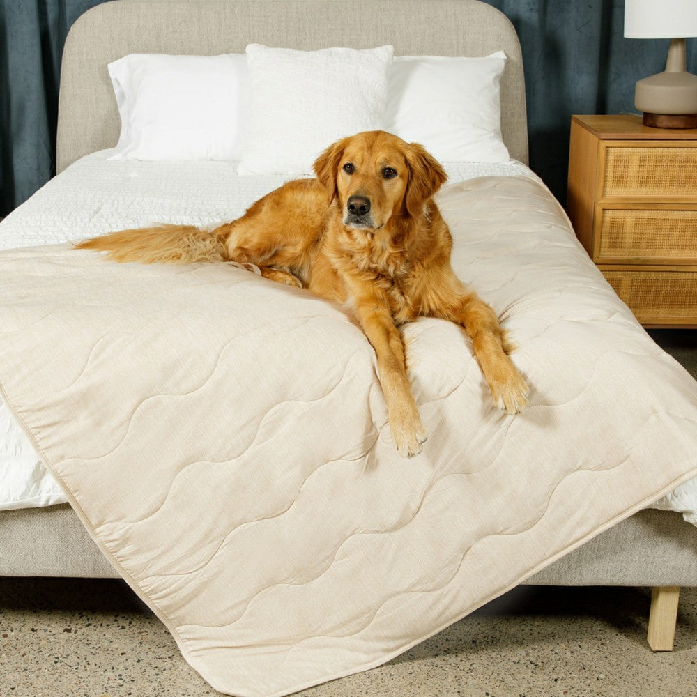 PupChill™ Cooling Waterproof Blanket - Arctic Sand | Plow & Hearth