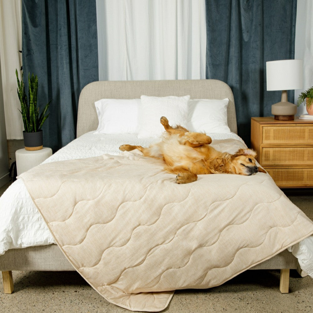 PupChill™ Cooling Waterproof Blanket - Arctic Sand | Plow & Hearth