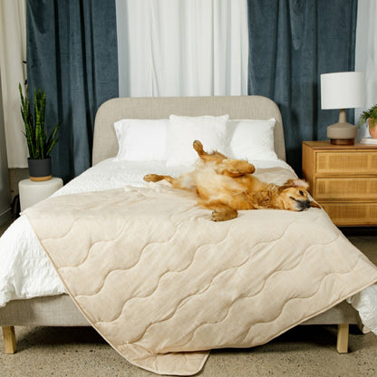 PupChill™ Cooling Waterproof Blanket - Arctic Sand | Plow & Hearth