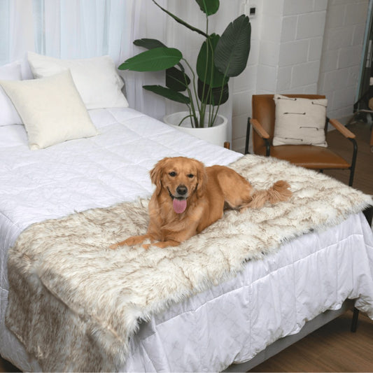 PupProtector™ Waterproof Bed Runner - White with Brown Accents | Plow & Hearth