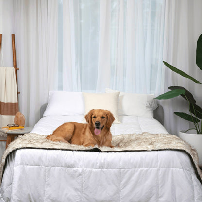 PupProtector™ Waterproof Bed Runner - White with Brown Accents | Plow & Hearth