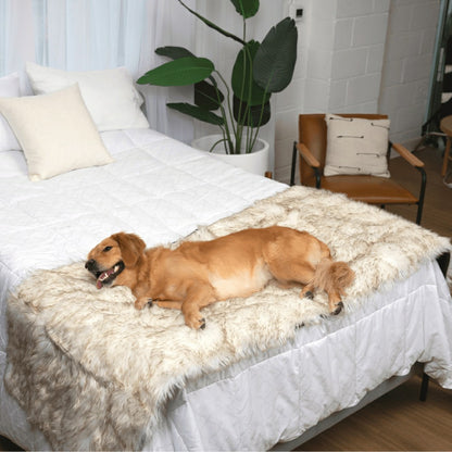 PupProtector™ Waterproof Bed Runner - White with Brown Accents | Plow & Hearth