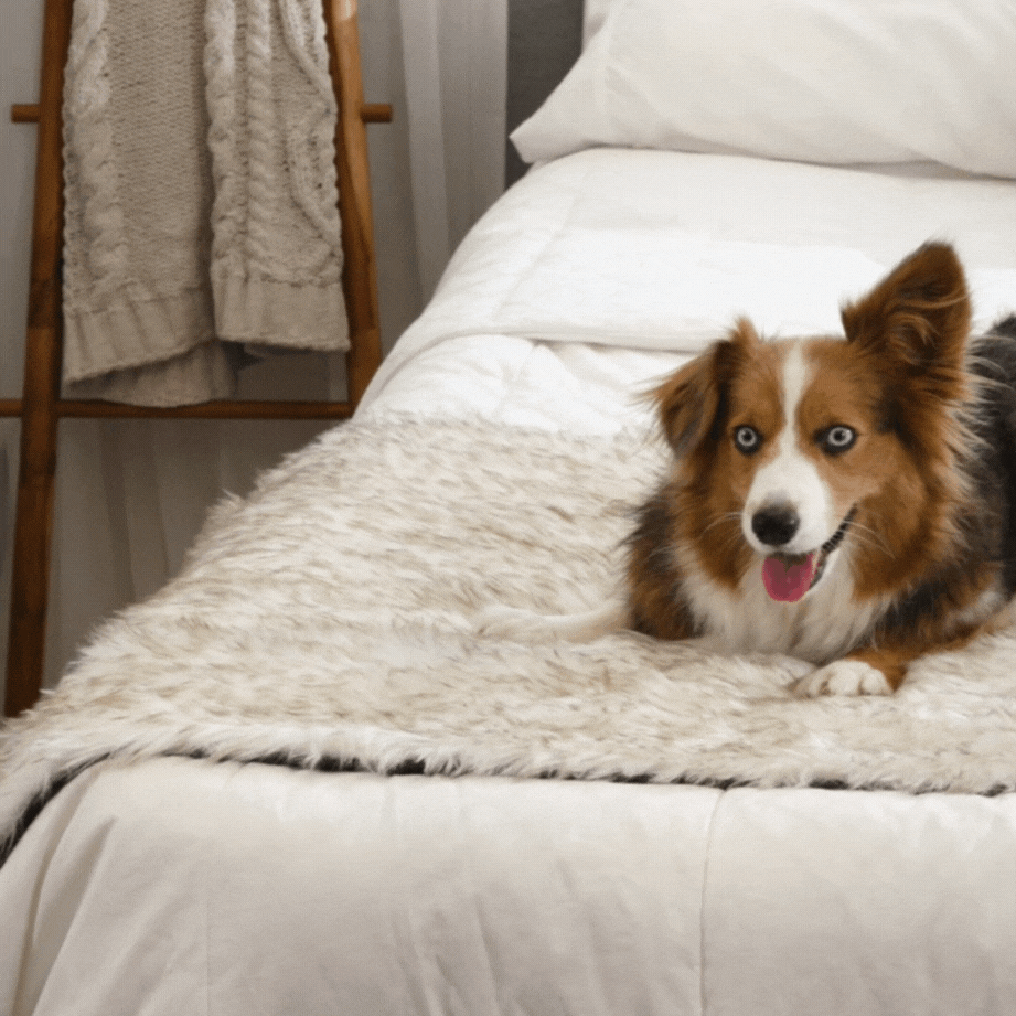 PupProtector™ Waterproof Bed Runner - White with Brown Accents | Plow & Hearth