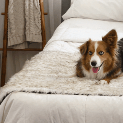 PupProtector™ Waterproof Bed Runner - White with Brown Accents | Plow & Hearth