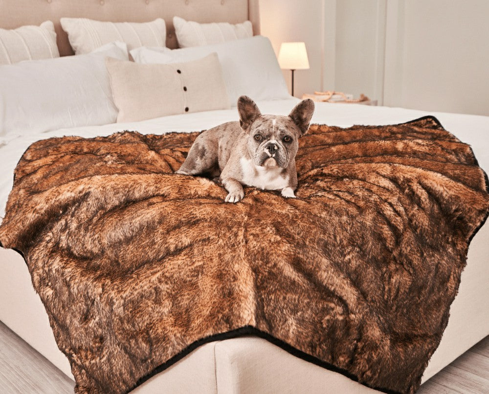 PupProtector™ Short Fur Waterproof Throw Blanket - Sable Tan | Plow & Hearth