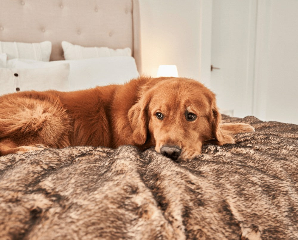 PupProtector™ Short Fur Waterproof Throw Blanket - Sable Tan | Plow & Hearth