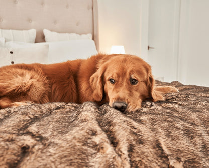 PupProtector™ Short Fur Waterproof Throw Blanket - Sable Tan | Plow & Hearth