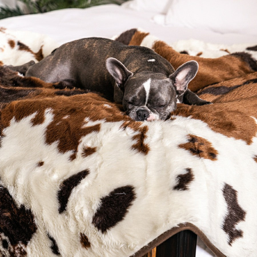 PupProtector™ Waterproof Throw Blanket - Brown Faux Cowhide | Plow & Hearth