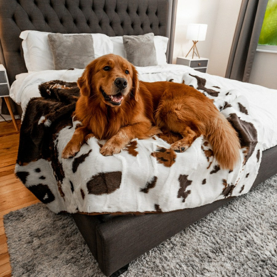 PupProtector™ Waterproof Throw Blanket - Brown Faux Cowhide | Plow & Hearth