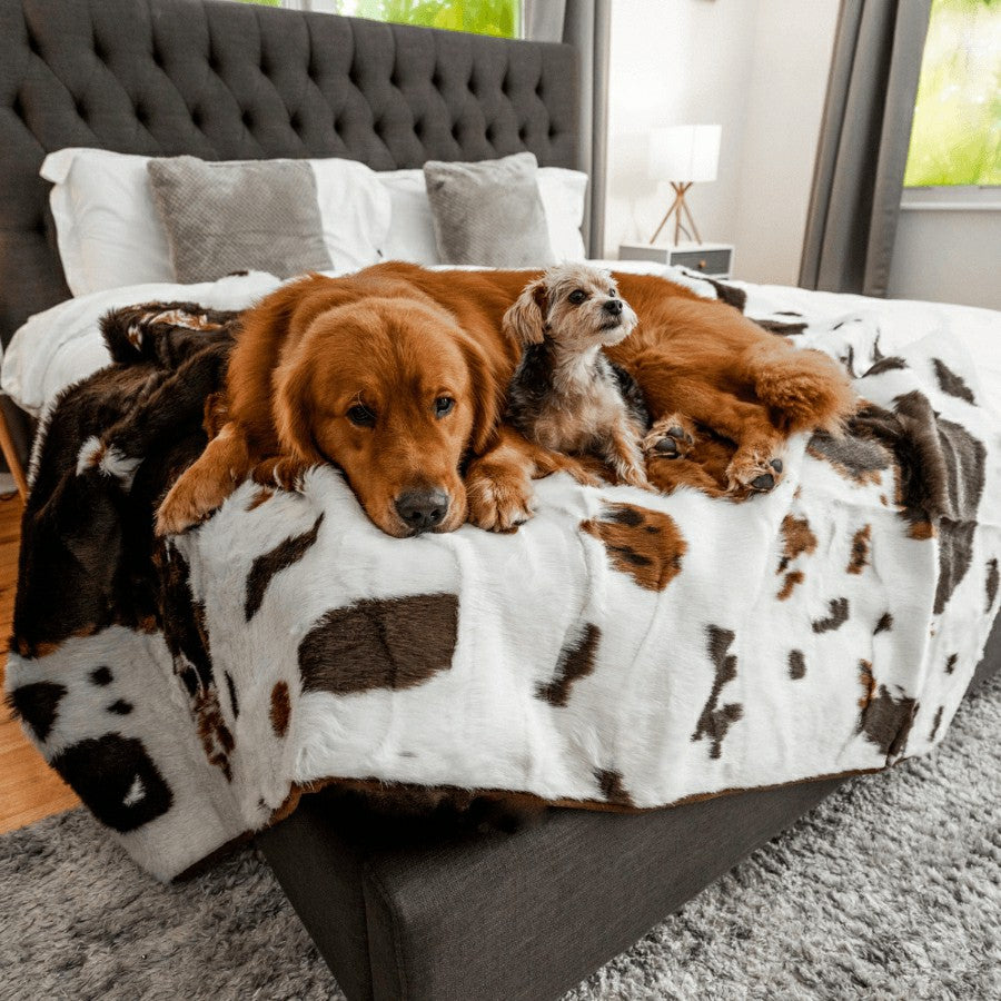 PupProtector™ Waterproof Throw Blanket - Brown Faux Cowhide | Plow & Hearth