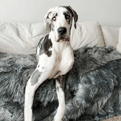 PupProtector™ Waterproof Throw Blanket - Charcoal Grey | Plow & Hearth