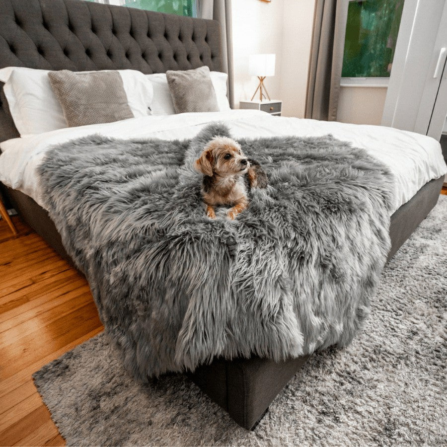 PupProtector™ Waterproof Throw Blanket - Charcoal Grey | Plow & Hearth