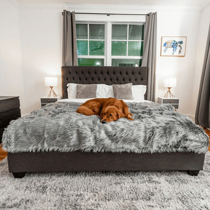 PupProtector™ Waterproof Throw Blanket - Charcoal Grey | Plow & Hearth
