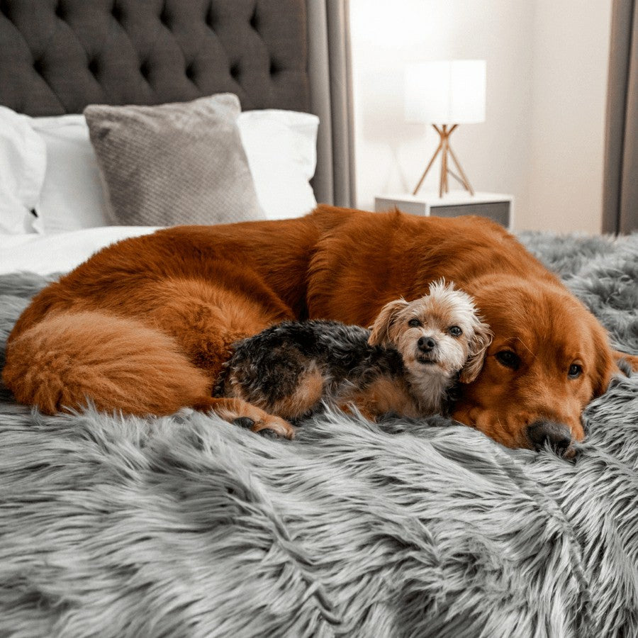 PupProtector™ Waterproof Throw Blanket - Charcoal Grey | Plow & Hearth