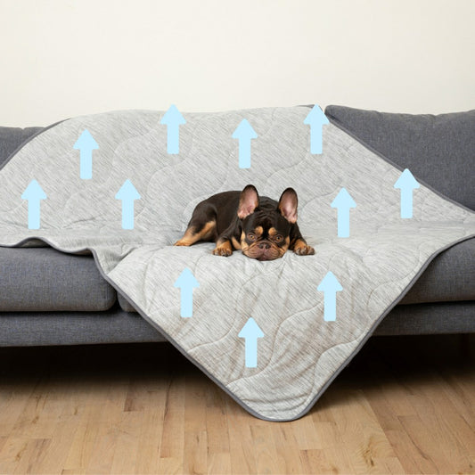 PupChill™ Cooling Waterproof Blanket - Arctic Grey | Plow & Hearth