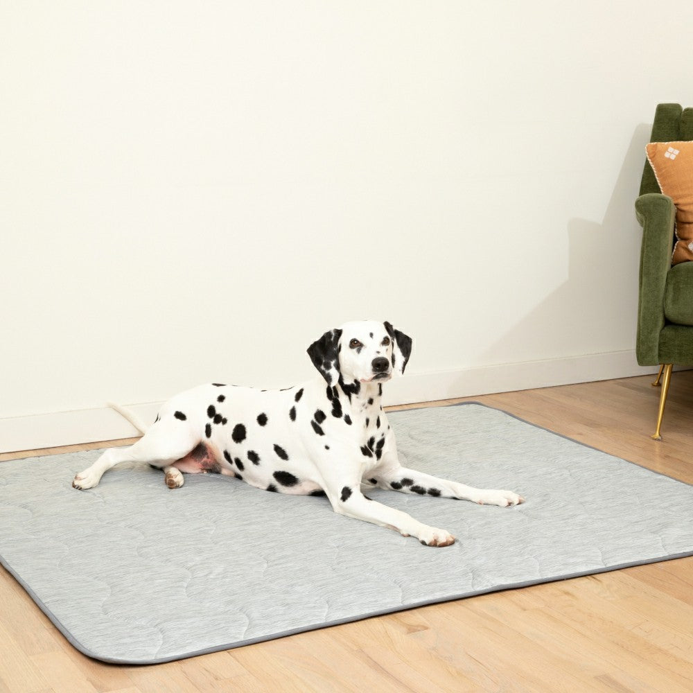 PupChill™ Cooling Waterproof Blanket - Arctic Grey | Plow & Hearth