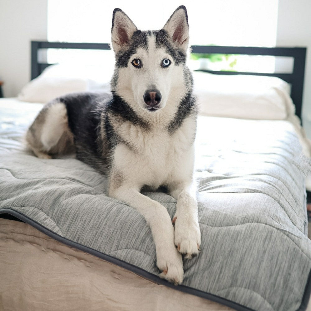 PupChill™ Cooling Waterproof Blanket - Arctic Grey | Plow & Hearth
