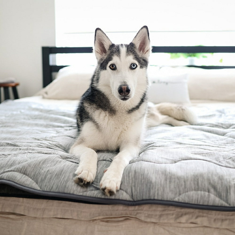 PupChill™ Cooling Waterproof Blanket - Arctic Grey | Plow & Hearth