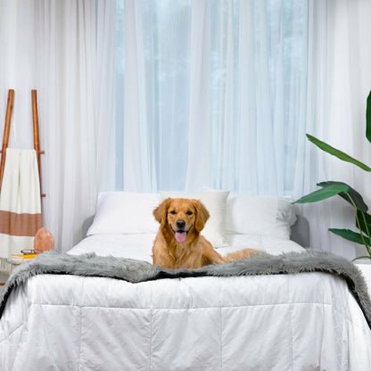 PupProtector™ Waterproof Bed Runner - Charcoal Grey | Plow & Hearth